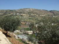 Wadi es Sir Tal (7)